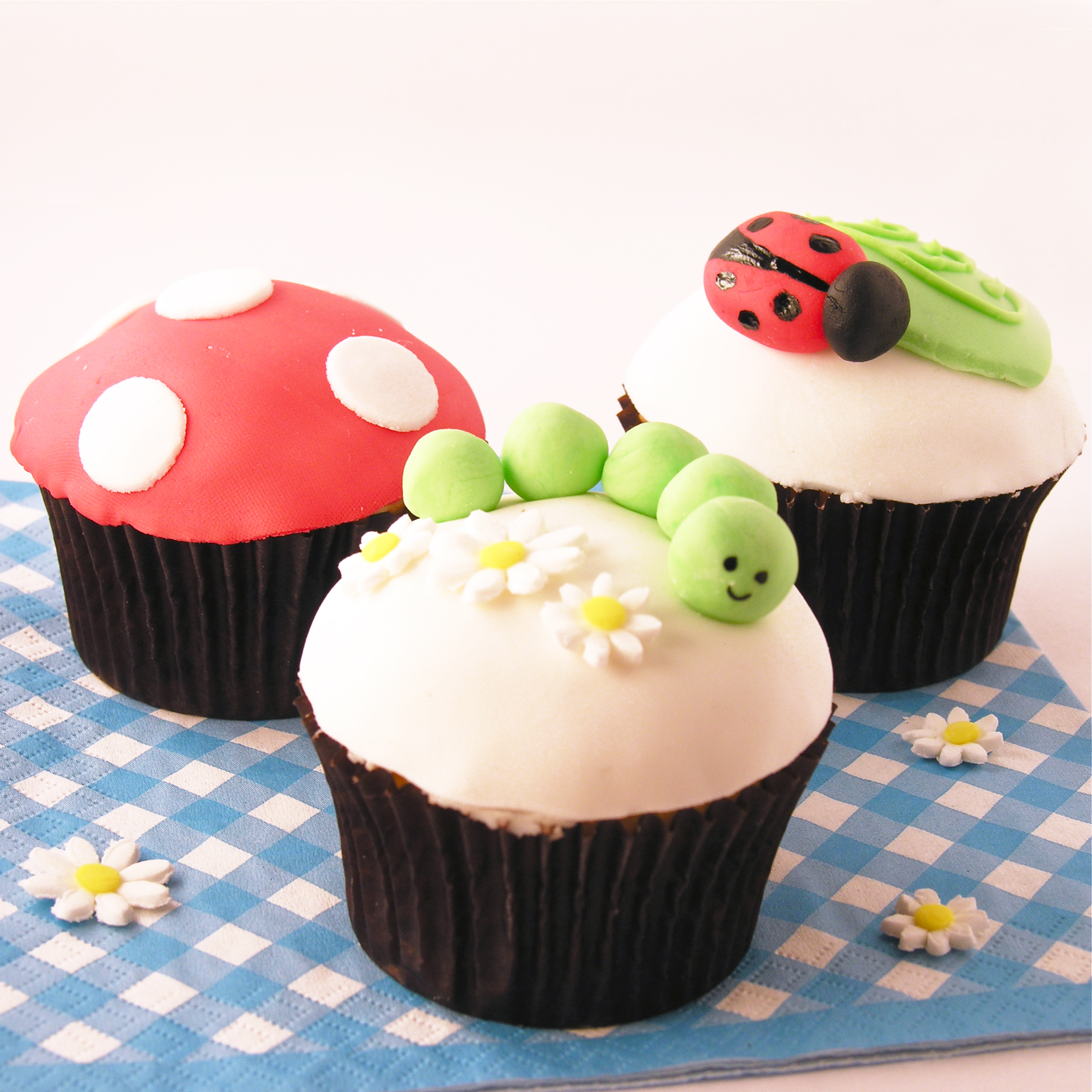 27th July – Fondant Cupcake Decorating Class